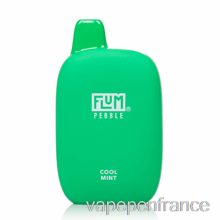 Stylo Vape Jetable à La Menthe Fraîche Flum Pebble 6000